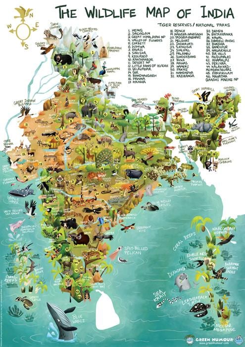 Índia selvagem mapa
