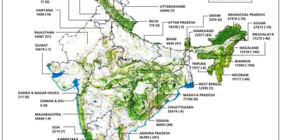 Floresta mapa da Índia