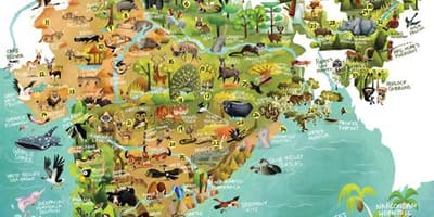 Índia selvagem mapa